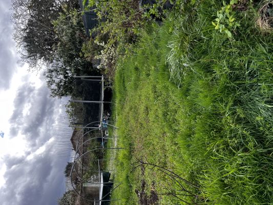 Vente terrain + maison COMBS LA VILLE Seine-et-Marne