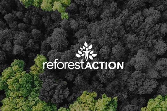 Maisons S&eacute;same votre constructeur de maison en Ile de France engag&eacute; pour l'environnement avec Reforest Action