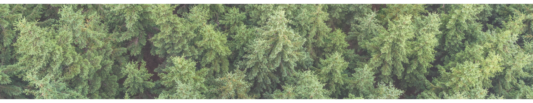 La mission "Reforest'Action"