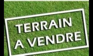 Venteterrain