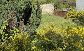 Venteterrain
