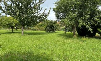 Venteterrain