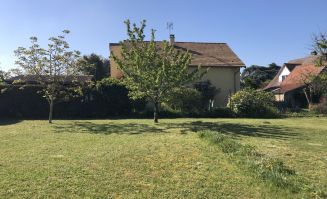 Venteterrain