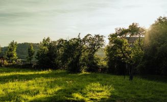 Venteterrain