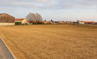 Venteterrain