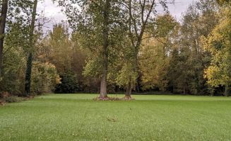Venteterrain