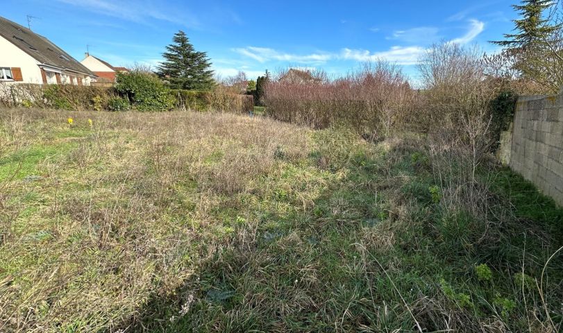 /